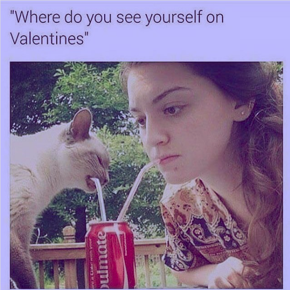 Valentine Day Funny Memes Singles Can Relate To in 2021