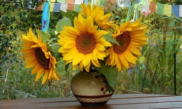 Sunflower Garden Bouquet 